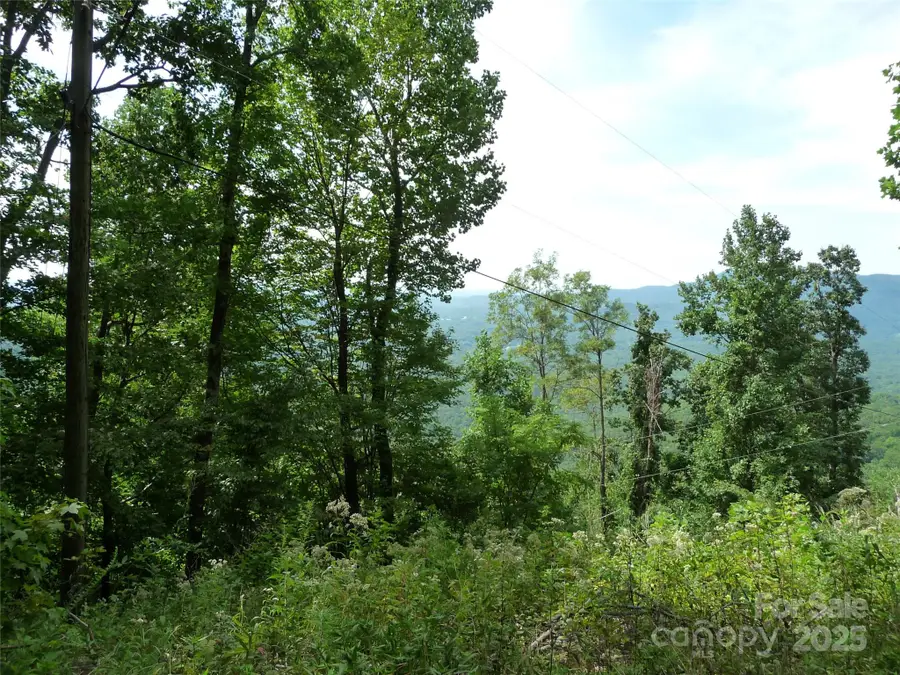 999 Skyuka Mountain Road #Lot 9, Columbus, NC 28722 - Image #3