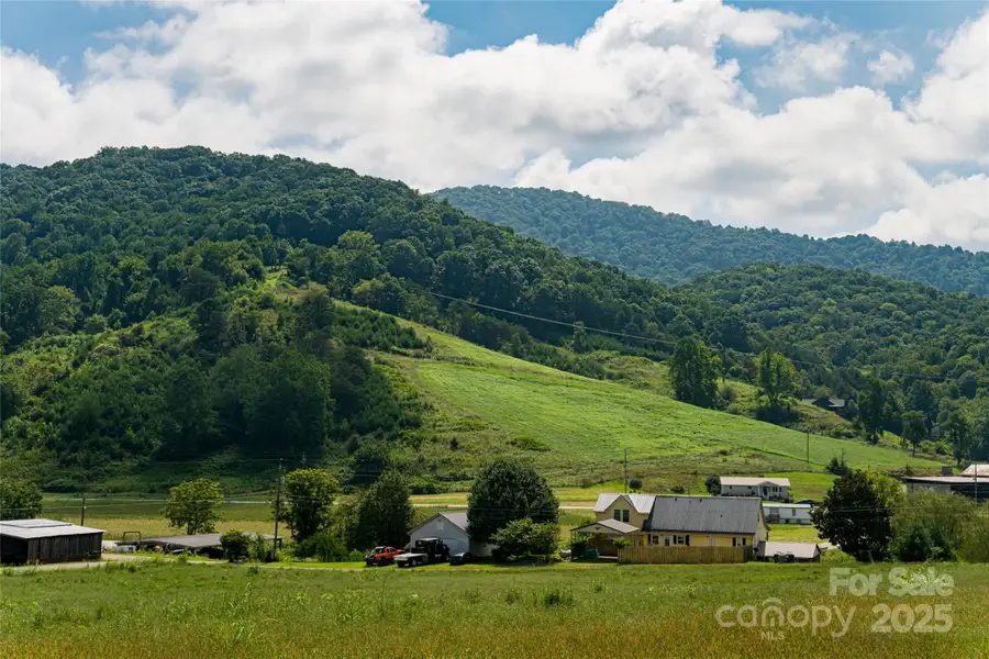 36 Brooks Branch Road, Leicester, NC 28748 - Image #2