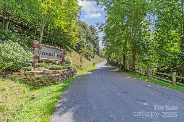 Lot 9 Wormy Chestnut Road, Burnsville, NC 28714