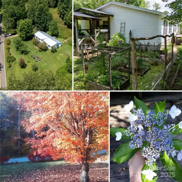 614 Upper Doe Bag Road, Green Mountain, NC 28740