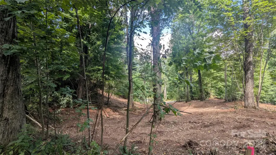 48 Apple Tree Court #2, Waynesville, NC 28786 - Image #3