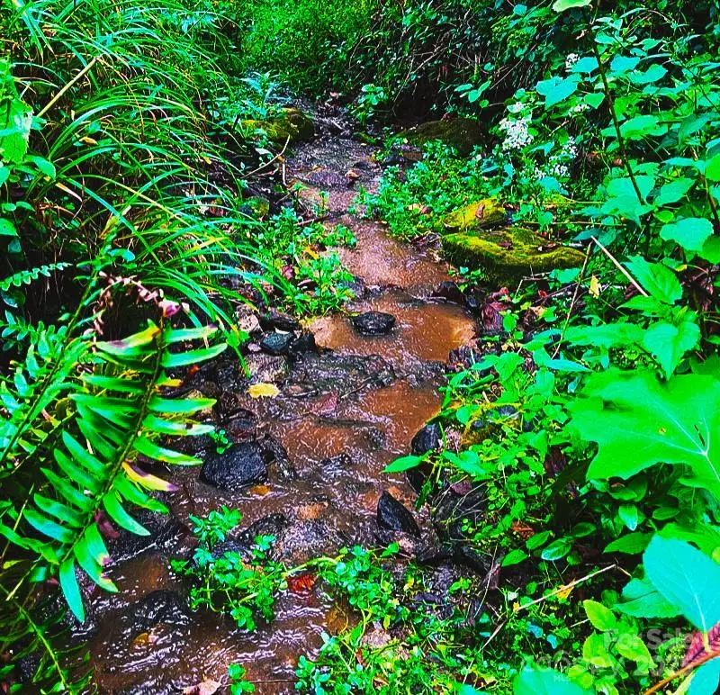 81 Jericho Drive, Tryon, NC 28782 - Image #2