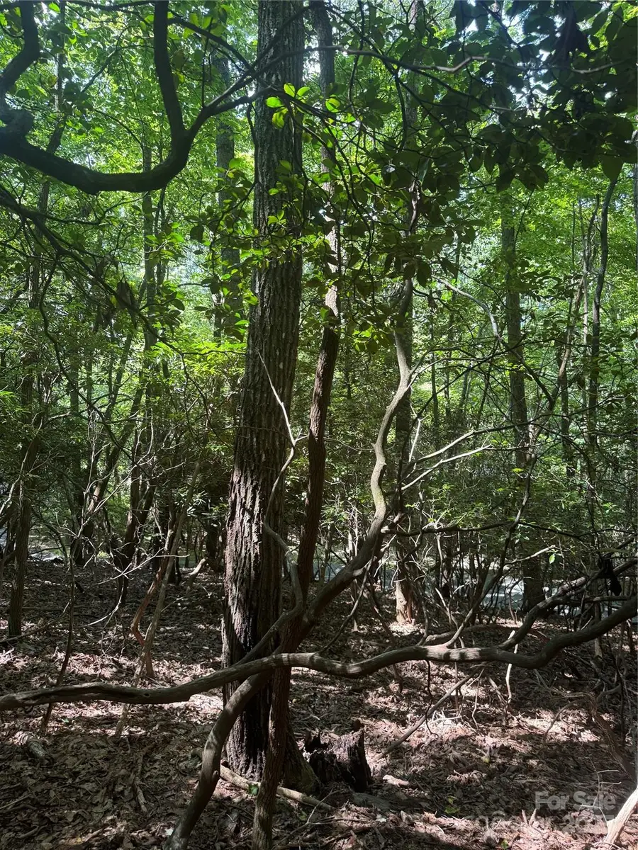 000 Wild Cherry Drive #187, Mills River, NC 28759 - Image #3