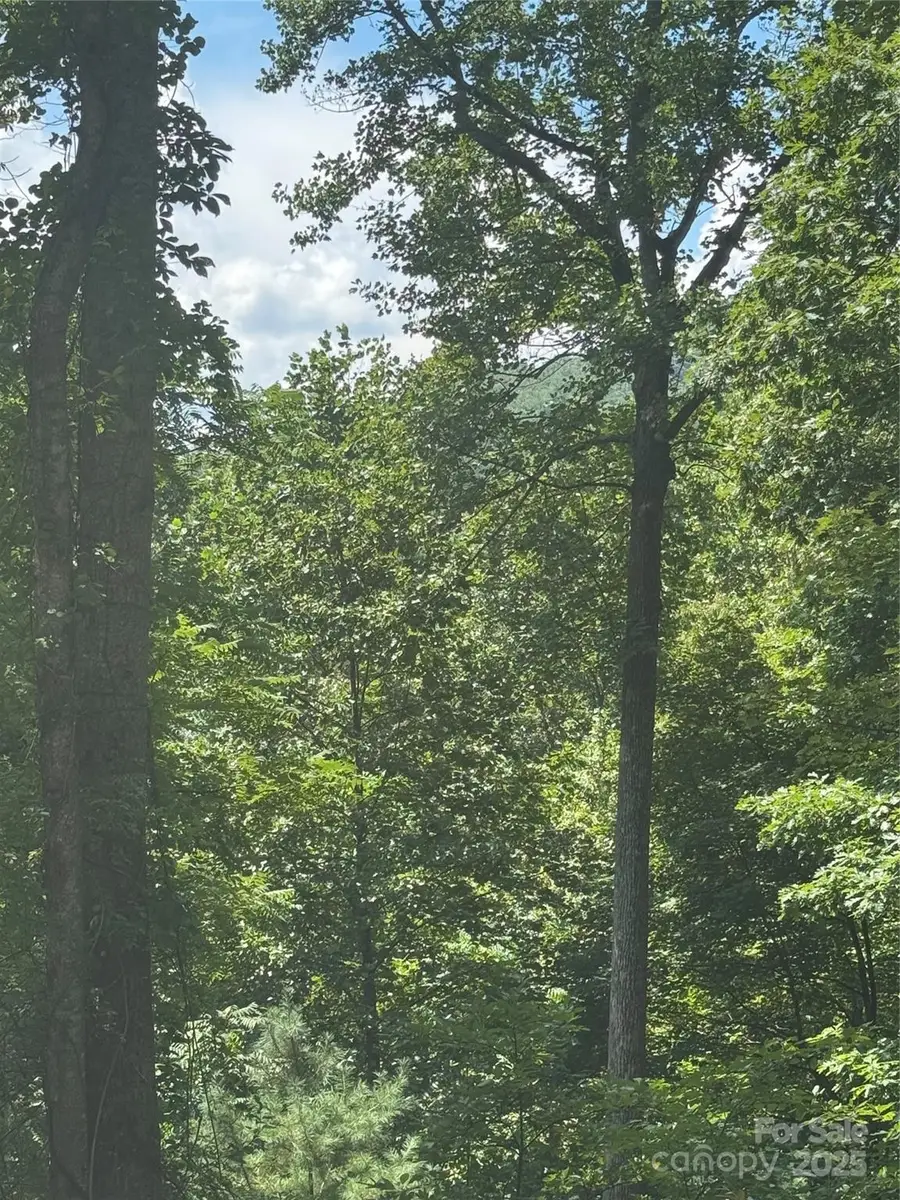 23 Red Oak Drive, Mills River, NC 28759 - Image #2