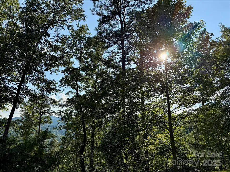 512 Wild River Run #65, Marshall, NC 28753 - Image #3