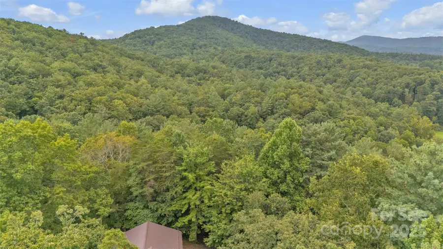 386 Natures Walk Lane, Taylorsville, NC 28681 - Image #2