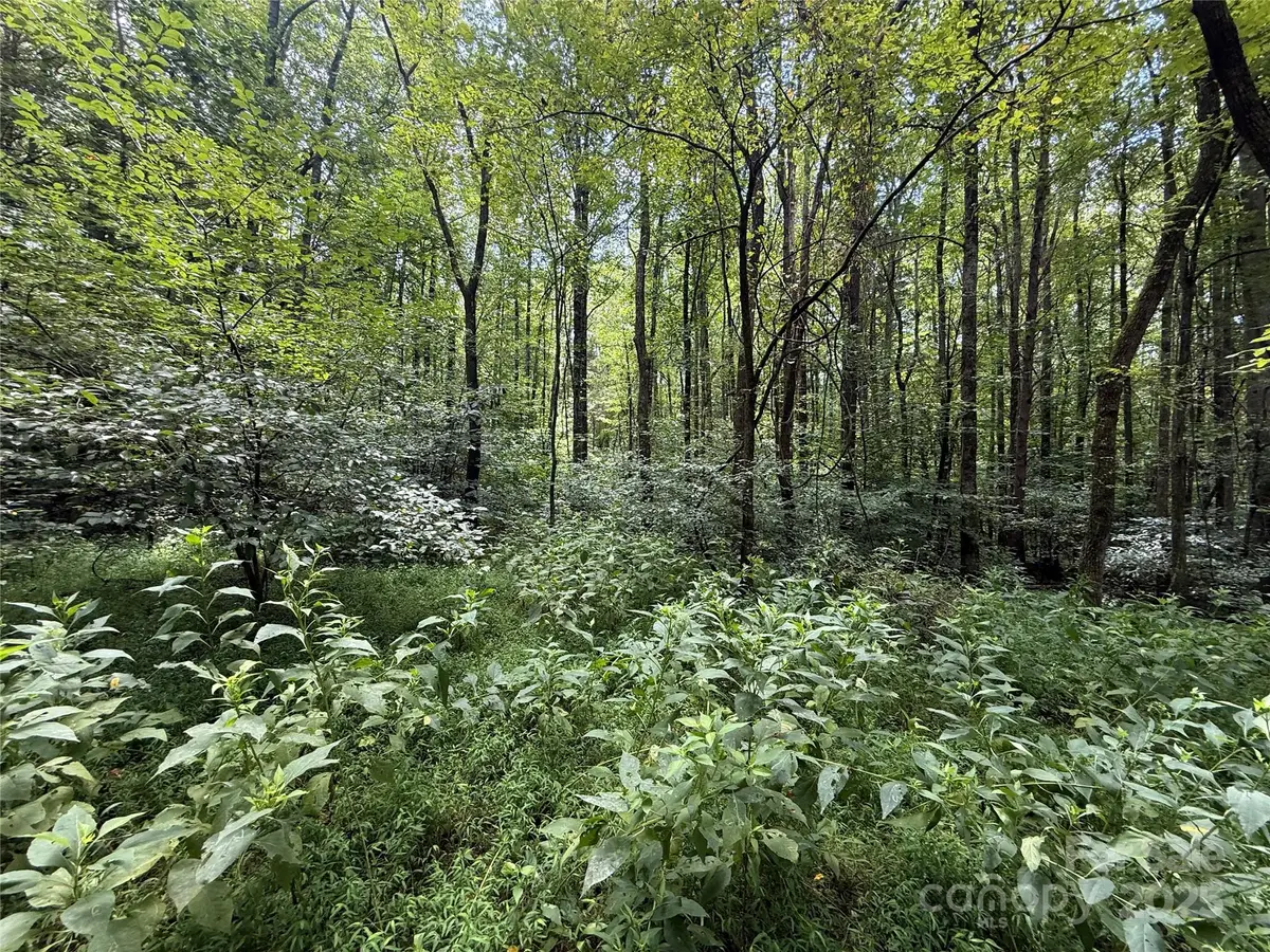 258 New Salem Road, Statesville, NC 28625 - Image #1