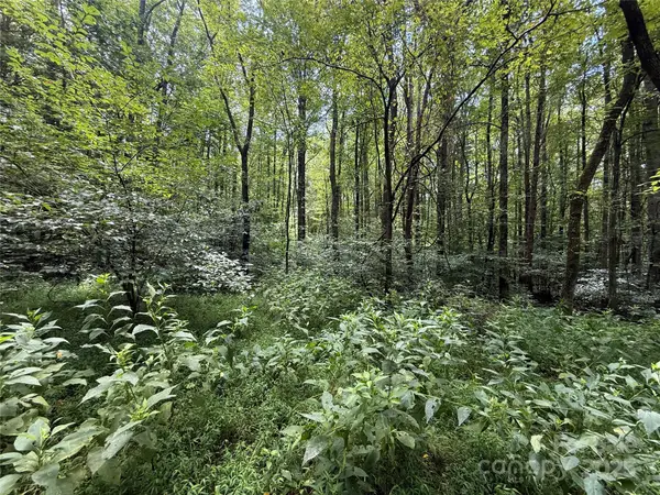 258 New Salem Road, Statesville, NC 28625