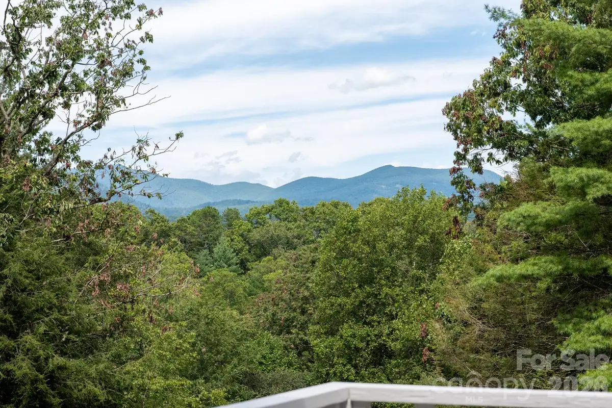 50 Springwood Drive, Asheville, NC 28805 - #1