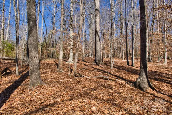 0 Cinnamon Ridge #404, Rutherfordton, NC 28139