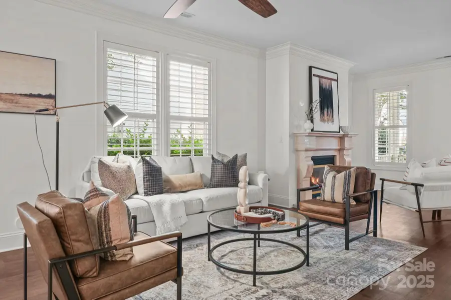 168 Harper Lee Street, Davidson, NC 28036 - Image #2