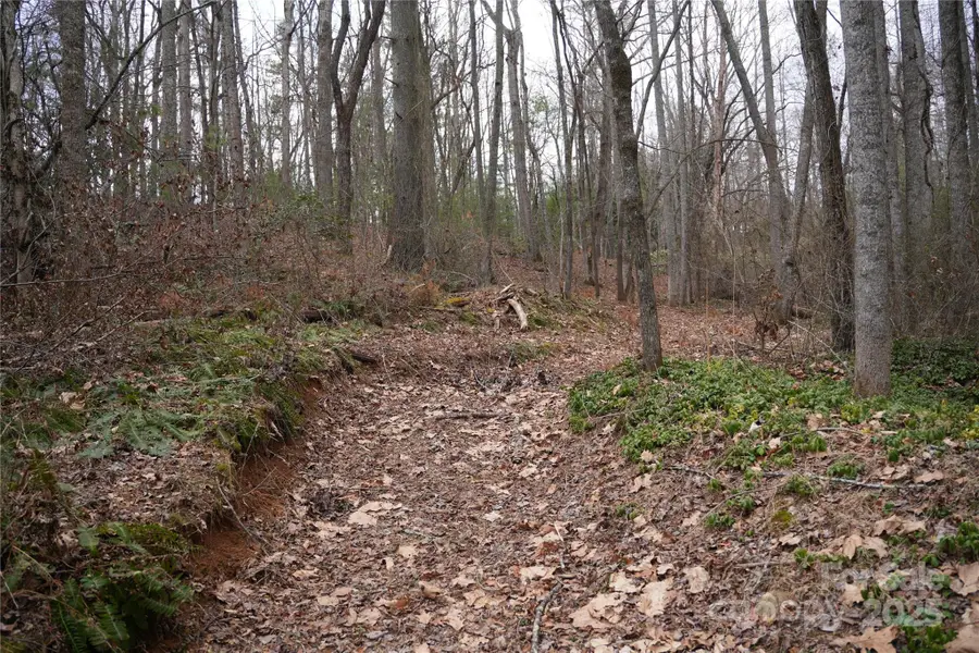 741 Glenn Bridge Road, Arden, NC 28704 - Image #2