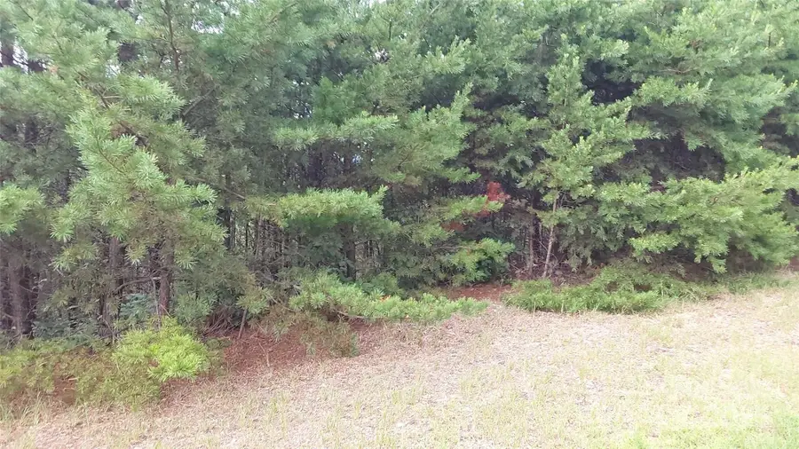 0 Brighton Drive, Bostic, NC 28018 - Image #3