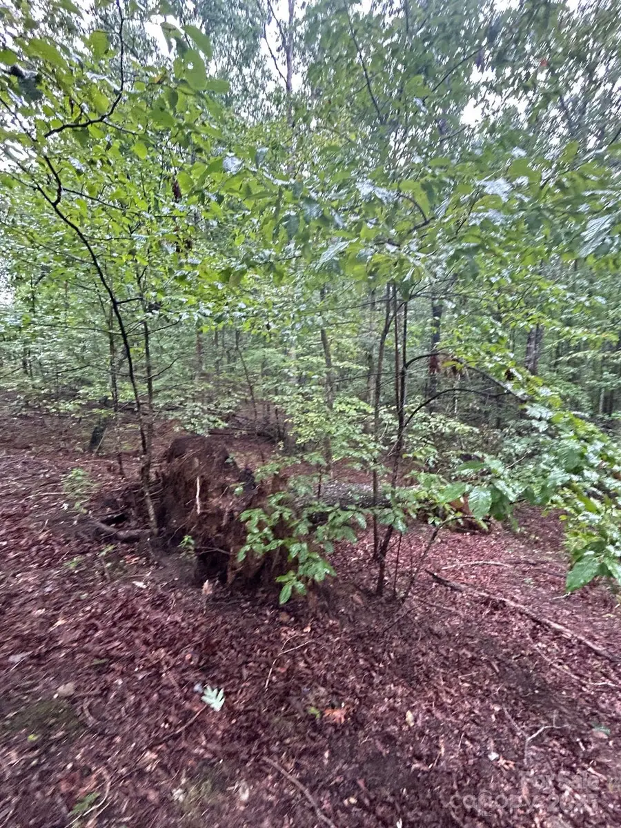 90 Adirondack Trail #88, Nebo, NC 28761 - Image #2