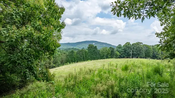 206 Rocky Top Road, Taylorsville, NC 28681