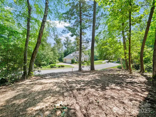 99999 Mistletoe Trail #43 & 44, Hendersonville, NC 28791