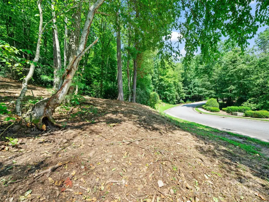 99999 Mistletoe Trail #43 & 44, Hendersonville, NC 28791 - Image #3