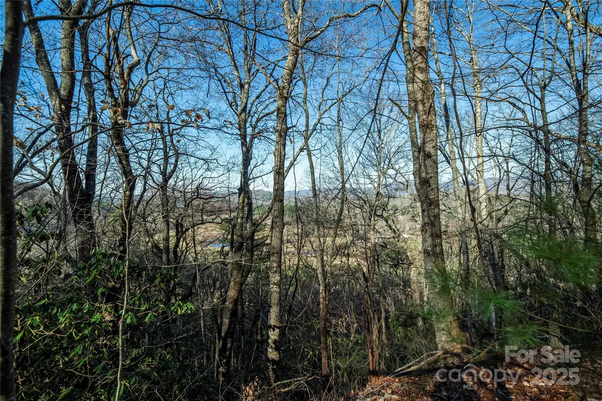 TBD Three Mile Knob Road #L2, Pisgah Forest, NC 28768 - Image #1