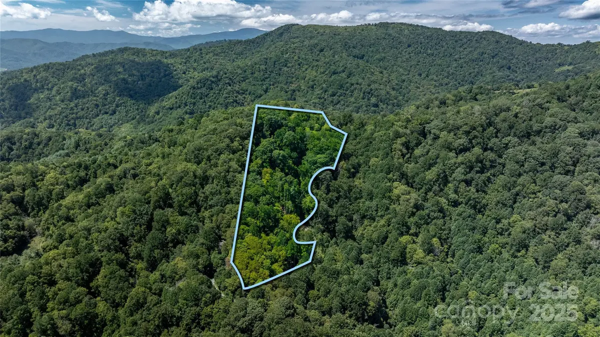 0000 Short Ridge Lane, Clyde, NC 28721 - Image #1