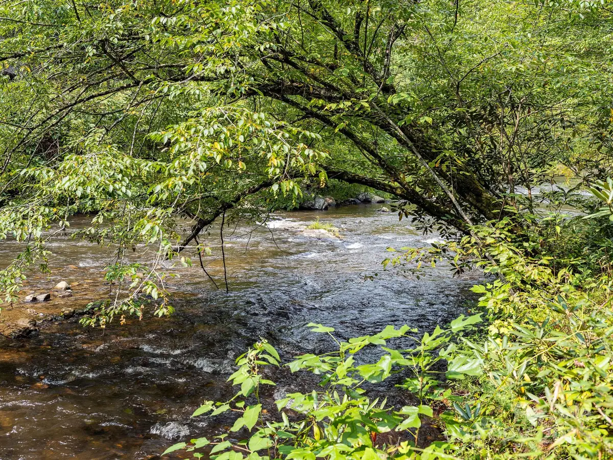 28 Caddis Court, Marshall, NC 28753 - Image #1