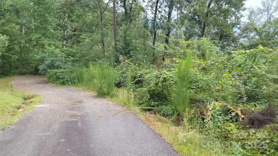 0 Brighton Drive, Bostic, NC 28018 - Image #2