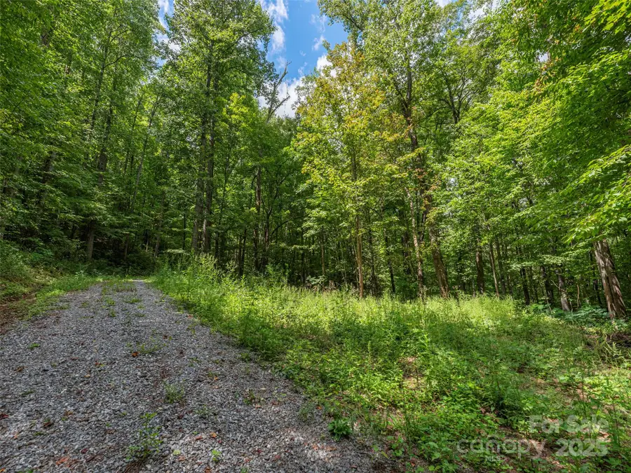 000 Flowing Brook Lane #3, Waynesville, NC 28786 - Image #2