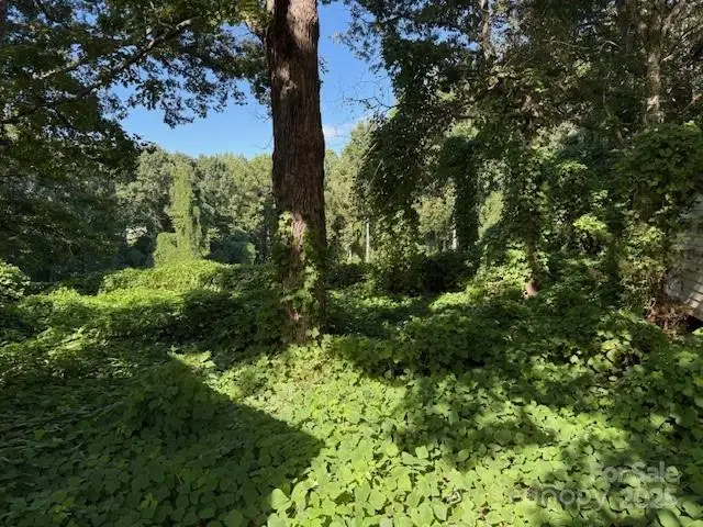 1753 N Nc 16 Highway, Denver, NC 28037 - Image #3