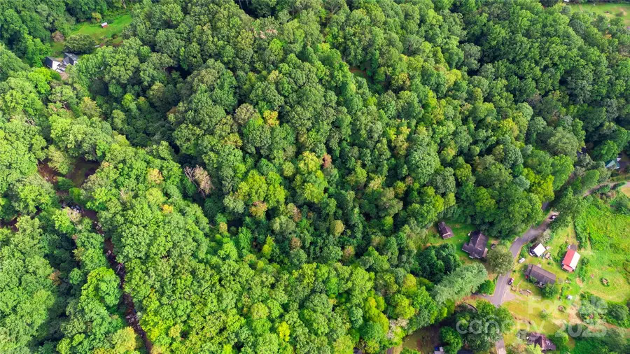 0000 Cabin Flats Road, Balsam, NC 28707 - Image #3