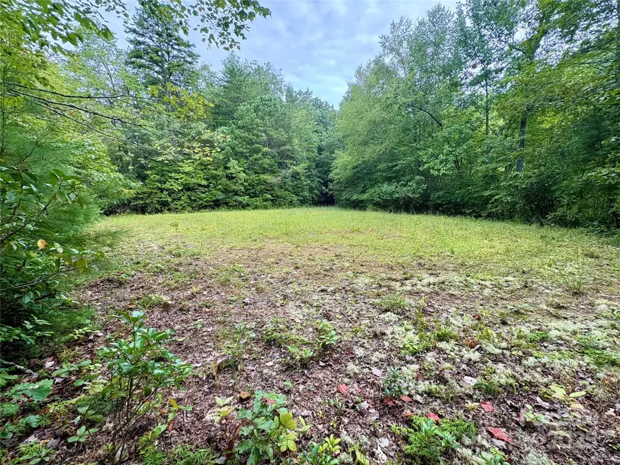 0 Chickadee Drive #51, Bryson City, NC 28713 - Image #3