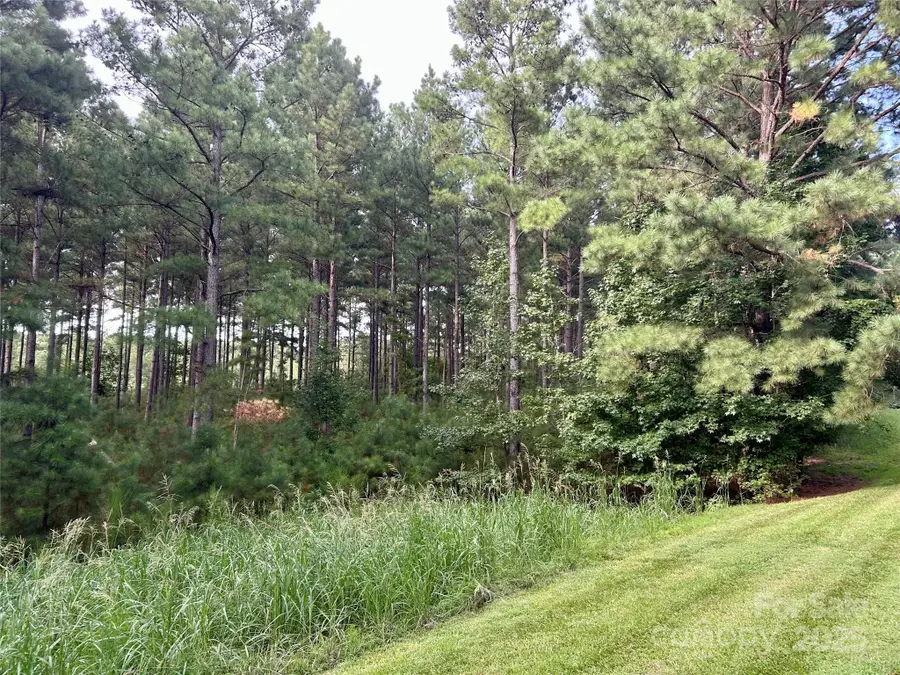 224 Plantation Way, Mount Gilead, NC 27306 - Image #2