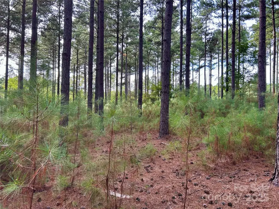 224 Plantation Way, Mount Gilead, NC 27306 - Image #3