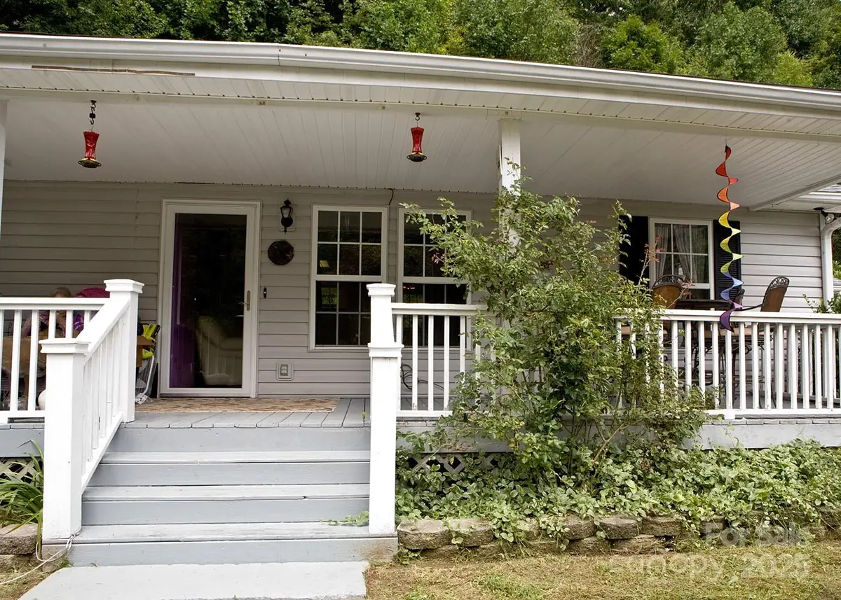 165 Peepeye Cove Road, Leicester, NC 28748 - Image #1