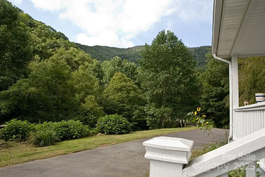 165 Peepeye Cove Road, Leicester, NC 28748 - Image #3