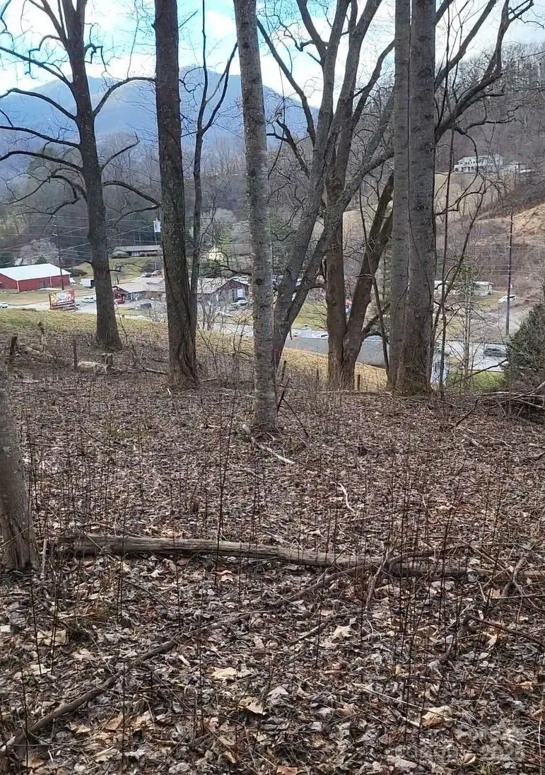 3009 Dellwood Road, Waynesville, NC 28786 - Image #1