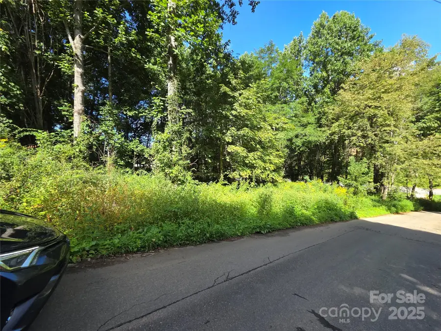 3009 Dellwood Road, Waynesville, NC 28786 - Image #2