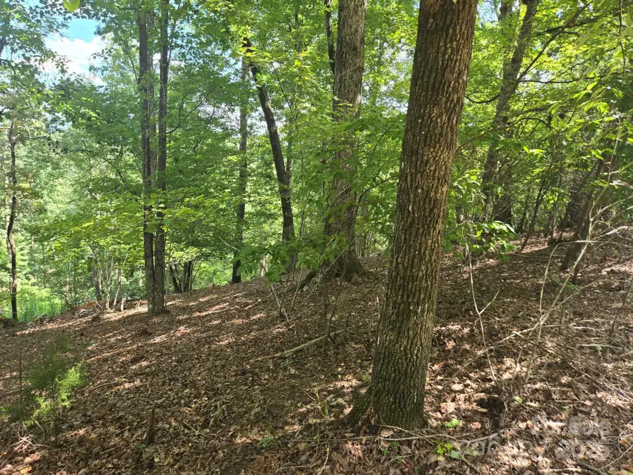 Lot 34 Hawks Nest Trail, Lake Lure, NC 28746 - Image #3