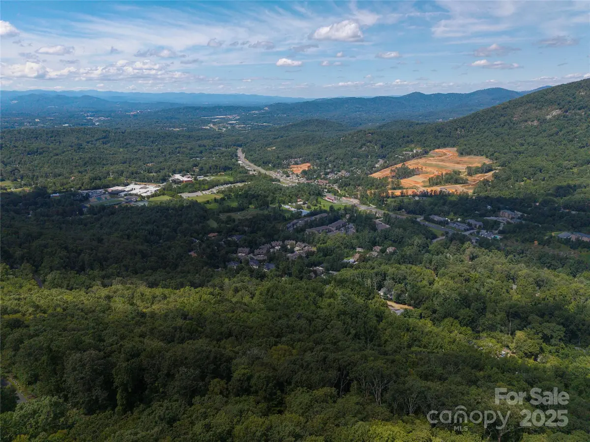 52 Castanea Mountain Drive, Asheville, NC 28803 - Image #1