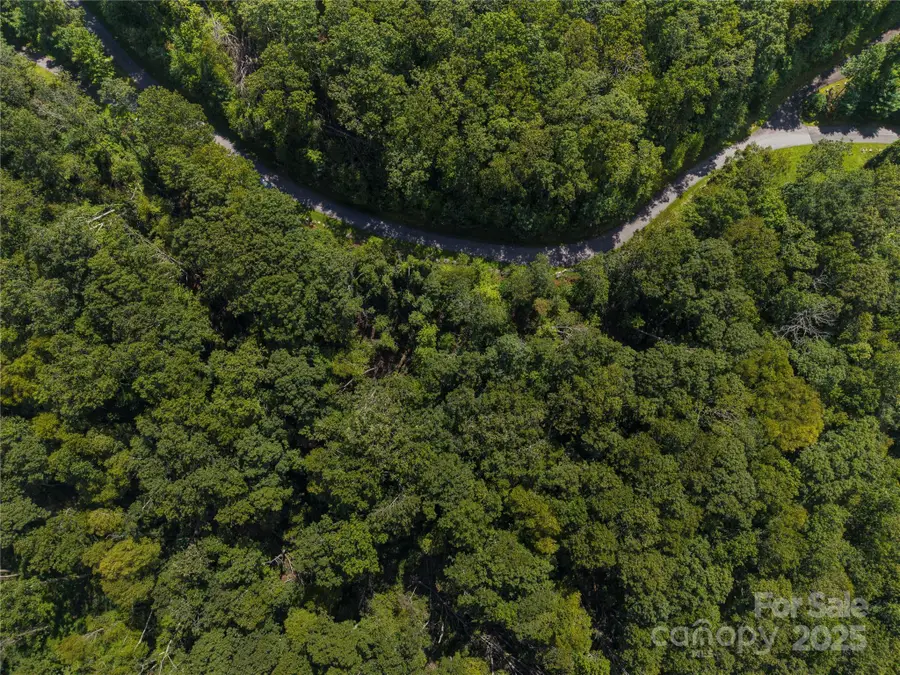 52 Castanea Mountain Drive, Asheville, NC 28803 - Image #2