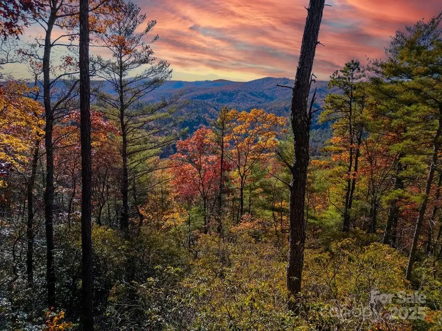 TBD Morgan Drive #Tract II, Penrose, NC 28766 - Image #2