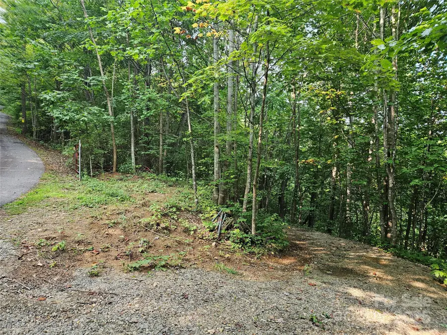 112 Steinwald Trail, Waynesville, NC 28786 - Image #2