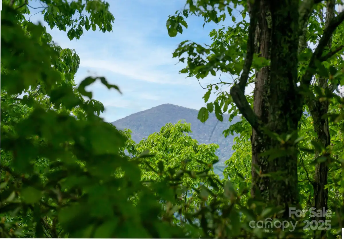 1111 Elm Tree Lane, Swannanoa, NC 28778 - Image #1