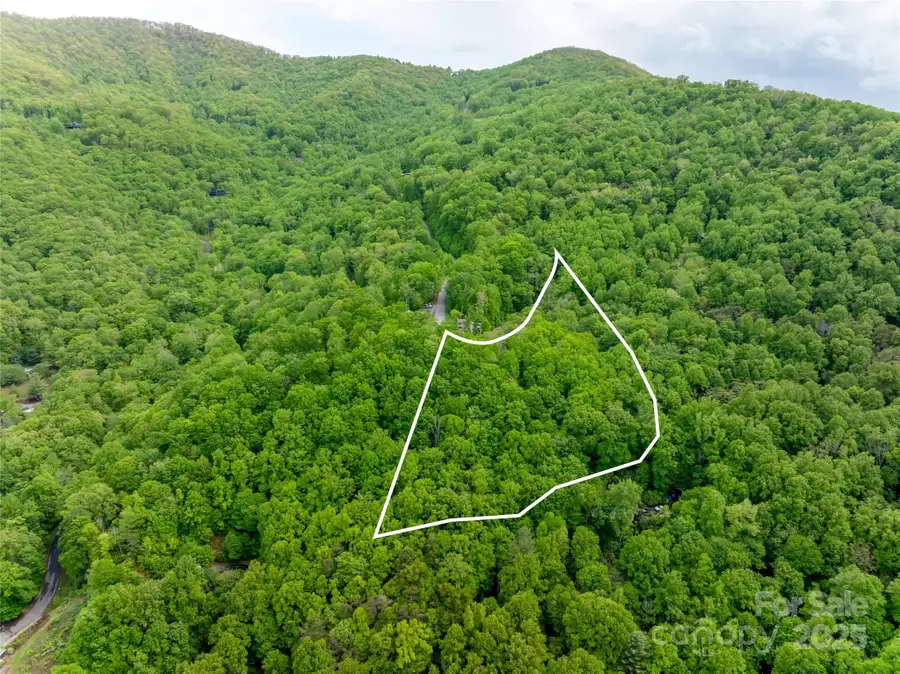 1111 Elm Tree Lane, Swannanoa, NC 28778 - Image #2