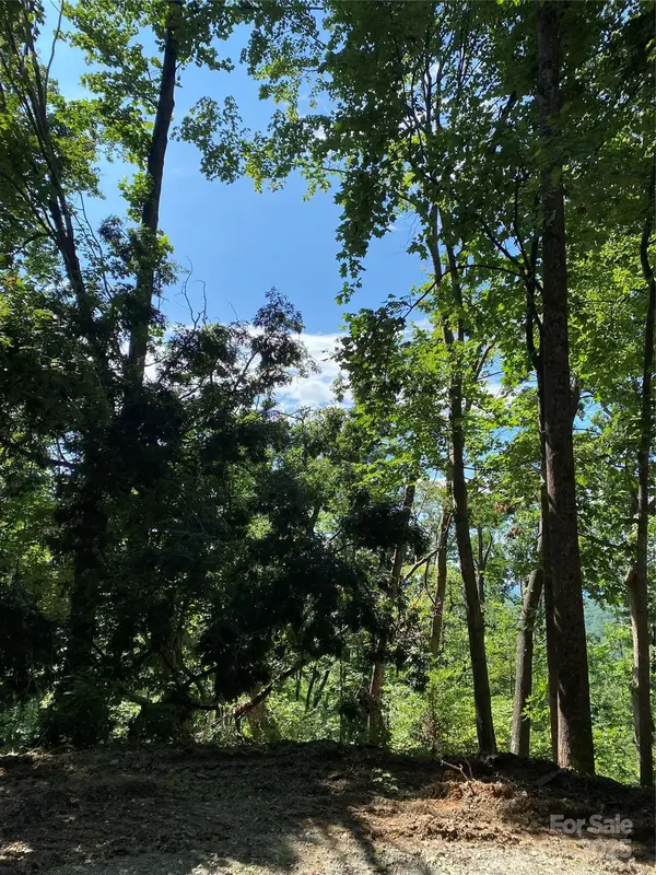 0 Winesap Boulevard #81, Lake Lure, NC 28746