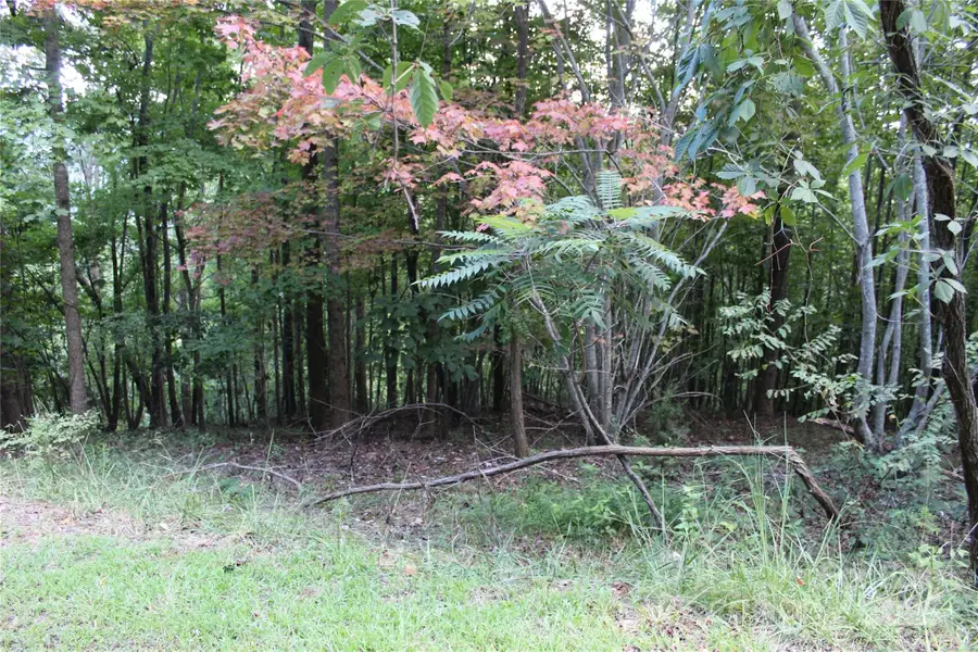 0 Azule Ridge Drive, Bostic, NC 28018 - Image #3