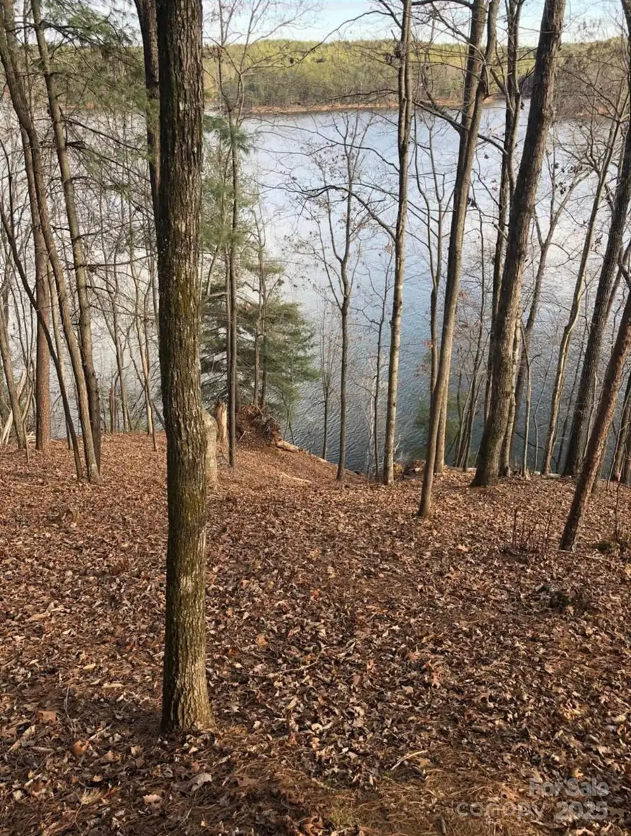 291 Crest View Drive #91, Nebo, NC 28761 - Image #3