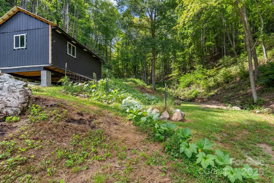 ### Bluff Mountain Road, Hot Springs, NC 28743 - Image #3