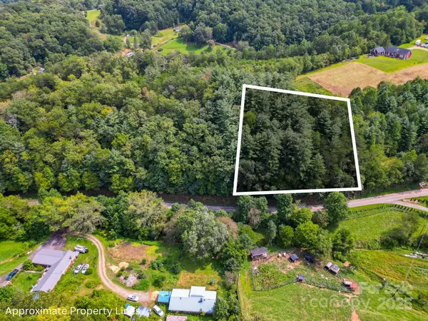 99999 Morgan Cove Road, Candler, NC 28715