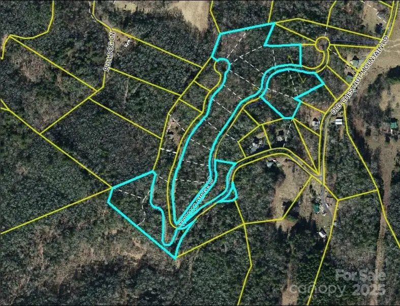 0000 Thomas Ridge Loop, Green Mountain, NC 28740 - Image #1