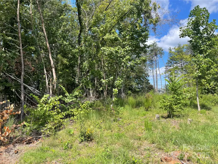 00 Carriage Drive, Rutherfordton, NC 28139 - Image #2