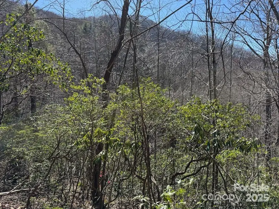 0000 Eagle Roost Road, Maggie Valley, NC 28751 - Image #3